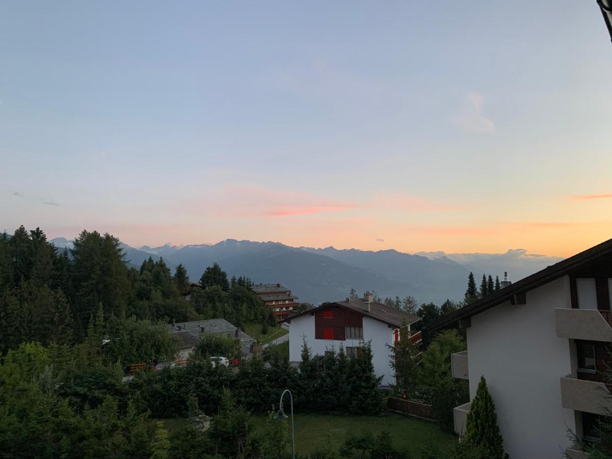 La Jacinthe De Crans Apartment Bagian luar foto